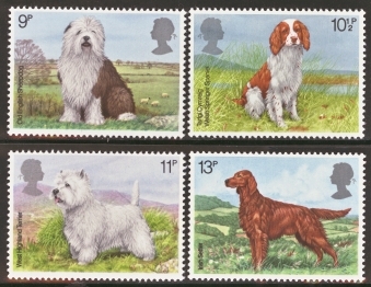 1979 Dogs