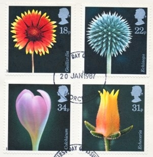 1987 Flowers