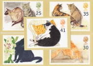 1995 Cats